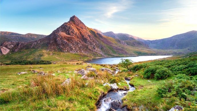 connecting with nature during covid-19