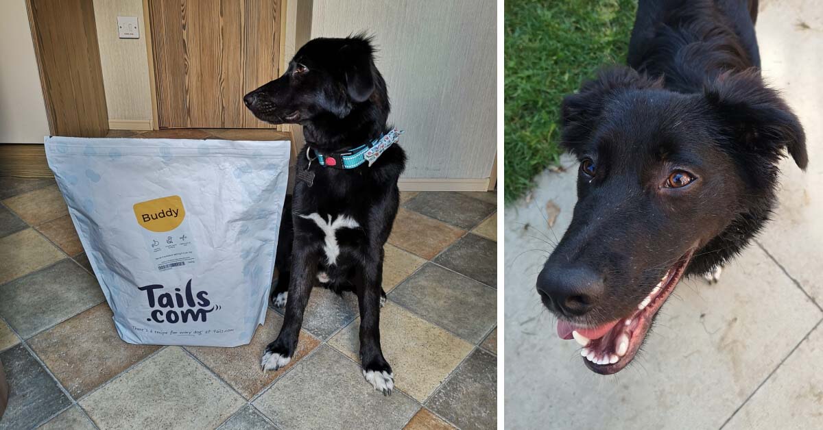 A dog named Buddy posing next to his Tails.com food bag