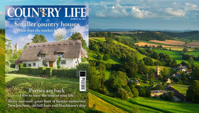 Claim 3 Issues of Country Life for £3