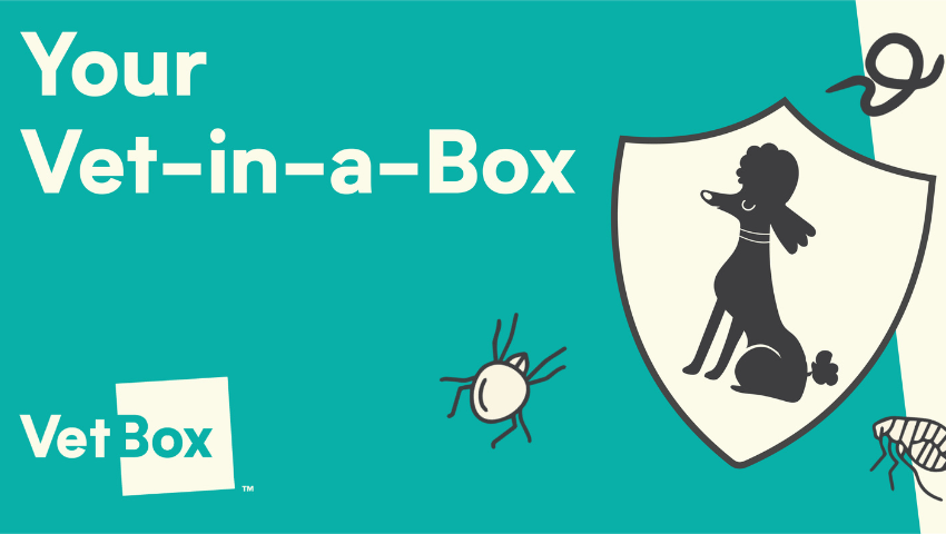 Save 50% on your first VetBox: Your Vet in a Box – Pick My Postcode