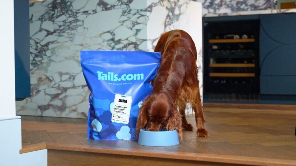 1 Month FREE* tailored dog food from tails.com
